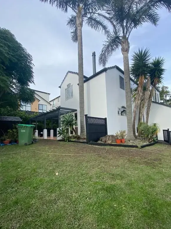 White stucco home exterior with palm trees in an Auckland backyard